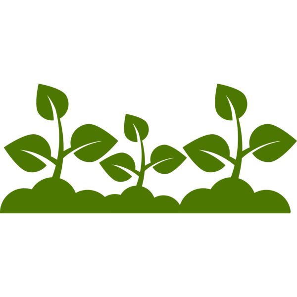 Plant Leaves Thumbnail